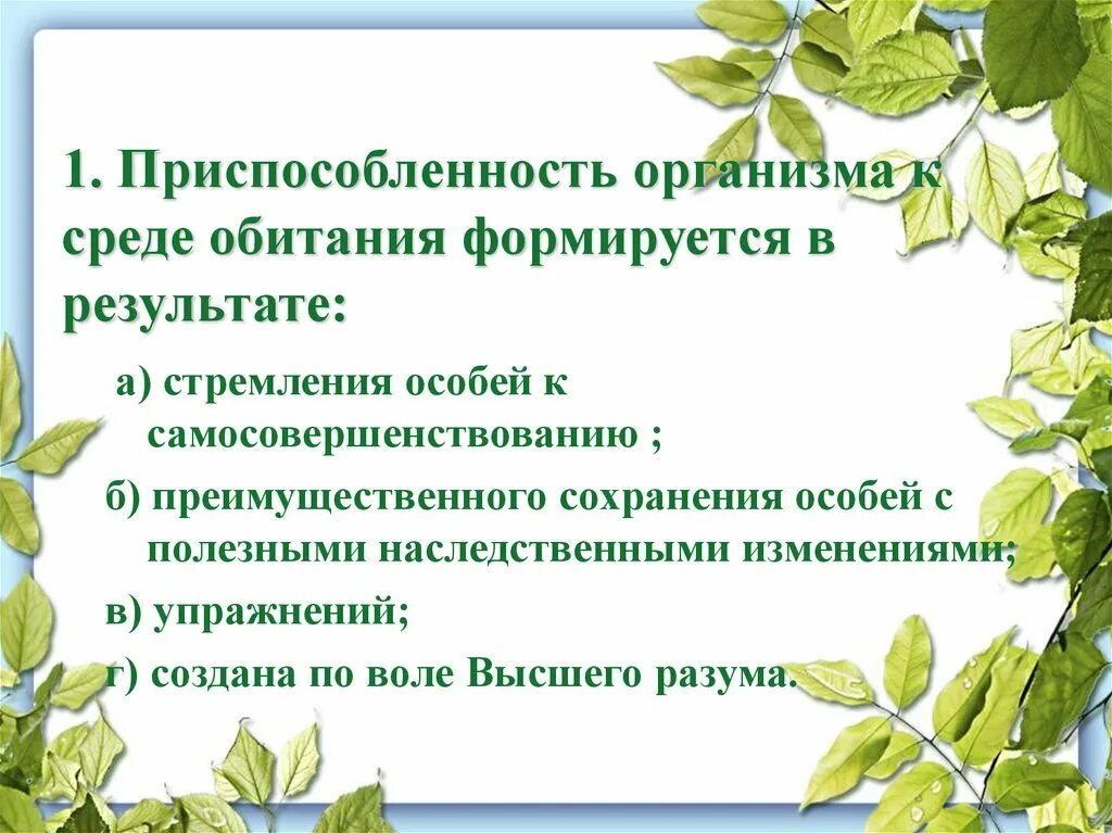 Приспособленность организмов к среде обитания. Приспособленность к среде обитания. Приспособляемость к среде. Виды приспособленности организмов к среде обитания.