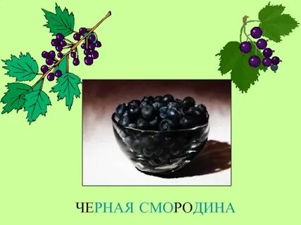 Смородина разбор