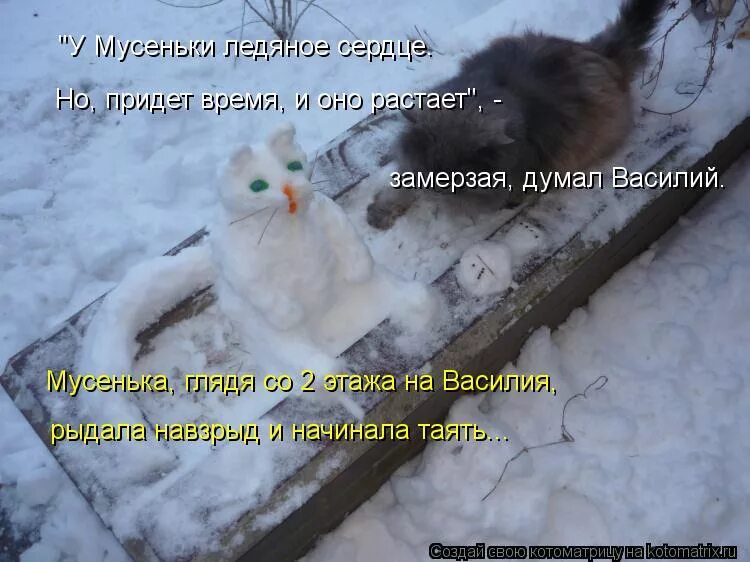Она же замерзнет. Человек мерзнет. Холод. Она же замерзнет. Зима пришла неожиданно.