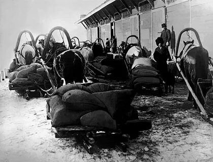 Продразверстка в 1921 была заменена продналогом причина