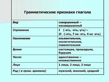 Общие грамматические признаки слова