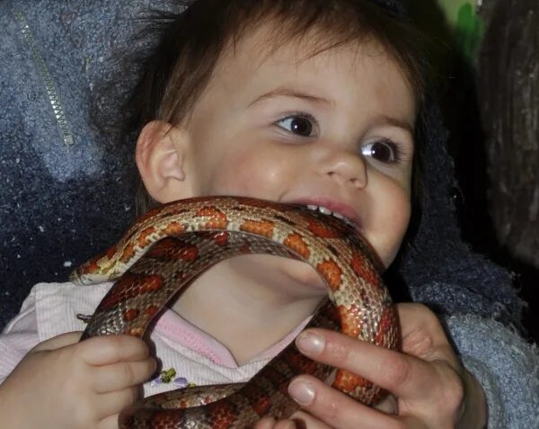 Children as young as THREE who are allowed to play with dad's 19ft pet python Da