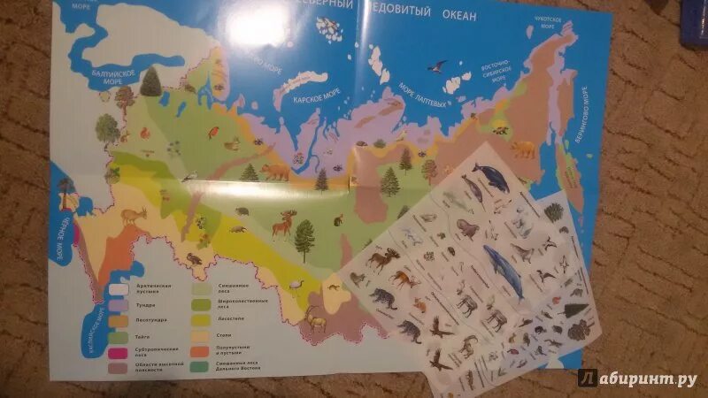 Природные зоны карта для дошкольников. Интерактивная карта для детей. Интерактивная карта. Удивительный мир природы на карте нашей родины. Удивительный мир природы на карте нашей родины.