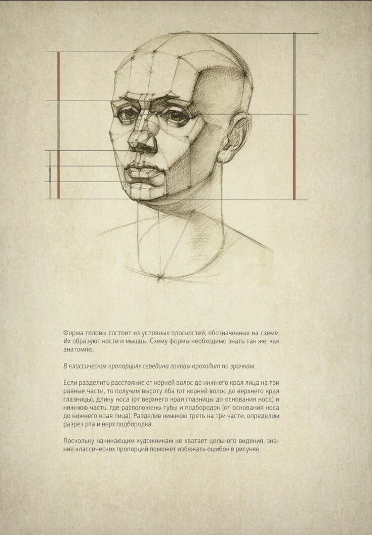 Учебное пособие голова