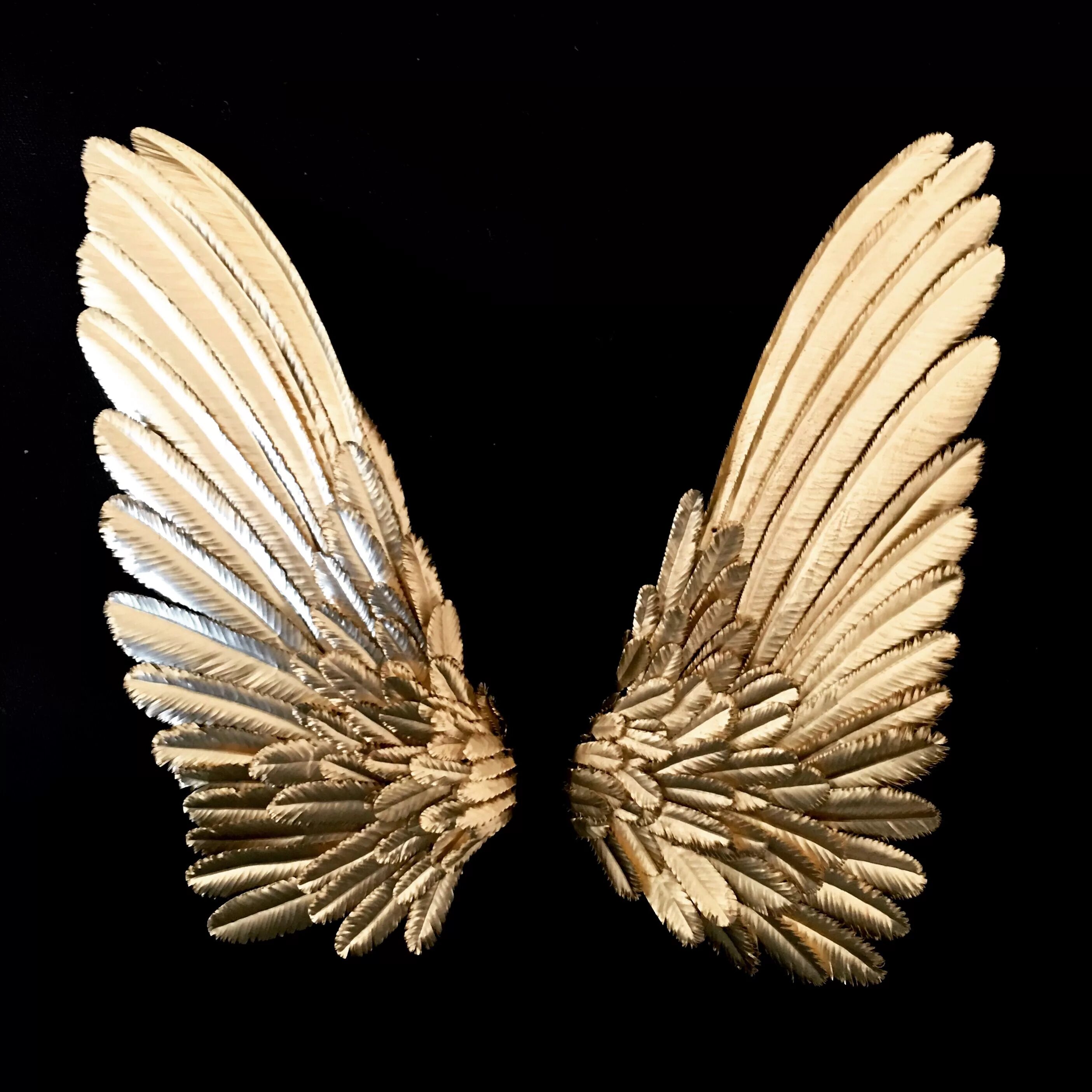 Золотистые крылья. Золотые Крылья. Красивые Крылья. Крылья золото.