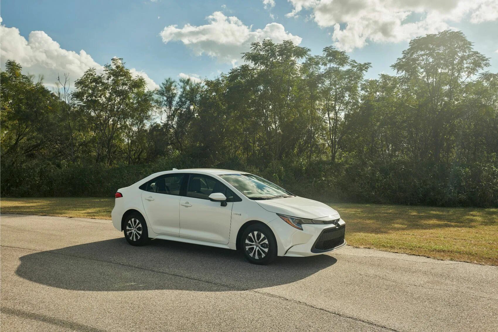 Тойота Королла гибрид 2019. Toyota Corolla Hybrid 2020. Toyota Corolla 2019 седан. Toyota Corolla sedan 2020. Corolla гибрид