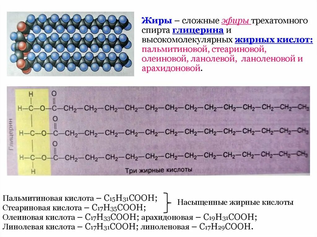 Стеариновая пальмитиновая линоленовая кислоты. Жиры сложные эфиры трехатомного спирта глицерина и. Эфир глицерина и стеариновой кислоты. Пальмитиновая кислота и глицерин Синтез жиров. Стеариновая кислота презентация