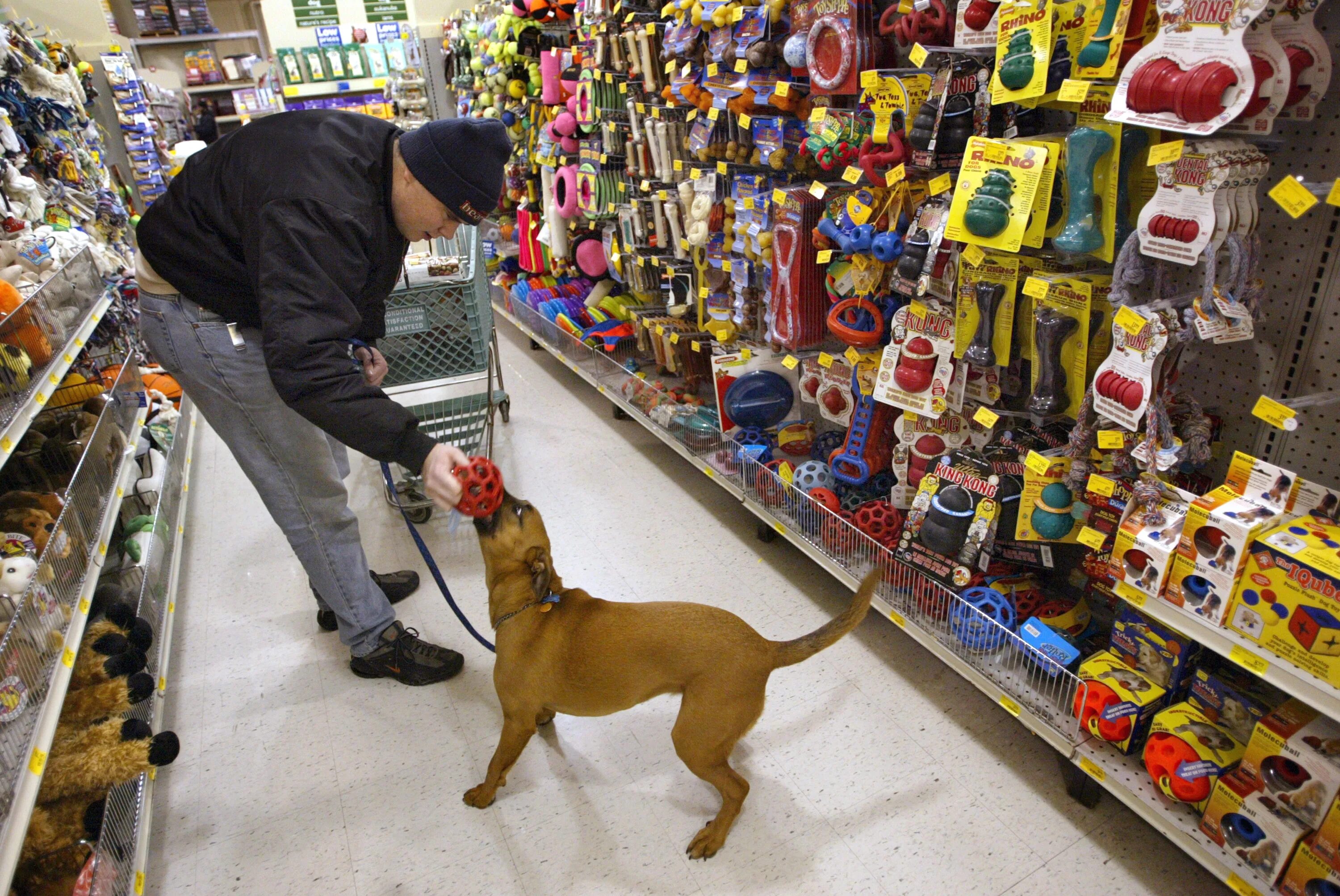 Собака в зоомагазине. Pet shop магазин для животных. Зоомагазин в Америке. Человек в зоомагазине.