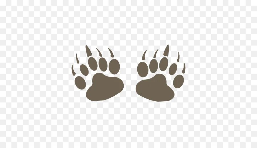 Bear track