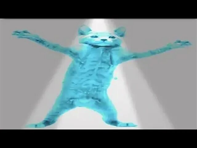 Кот флексит под. Кот флексит под