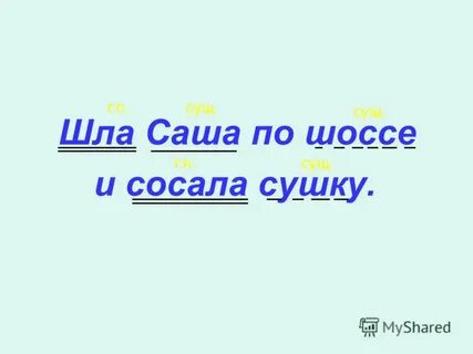 Сосала сушку