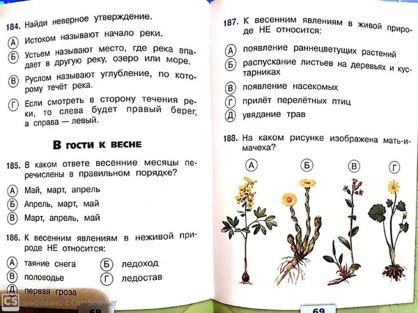 Тест жизнь луга и леса 4 класс. Тест жизнь луга и леса 4 класс