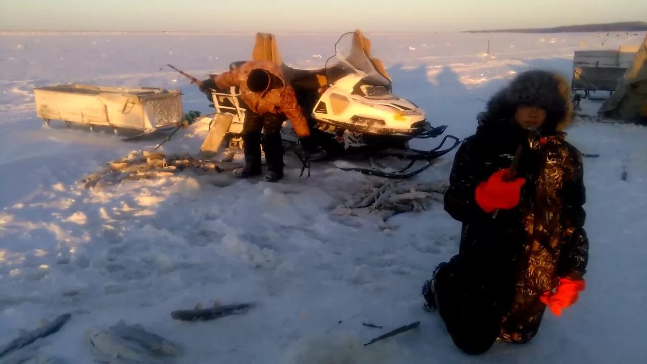 Погода в ванзетуре