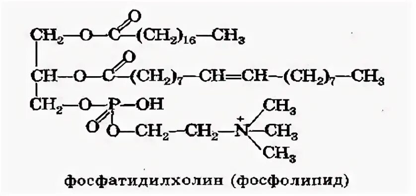 Глицерин содержит группы