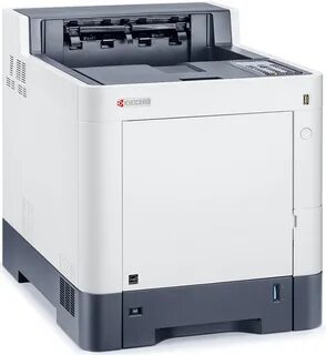 Ecosys