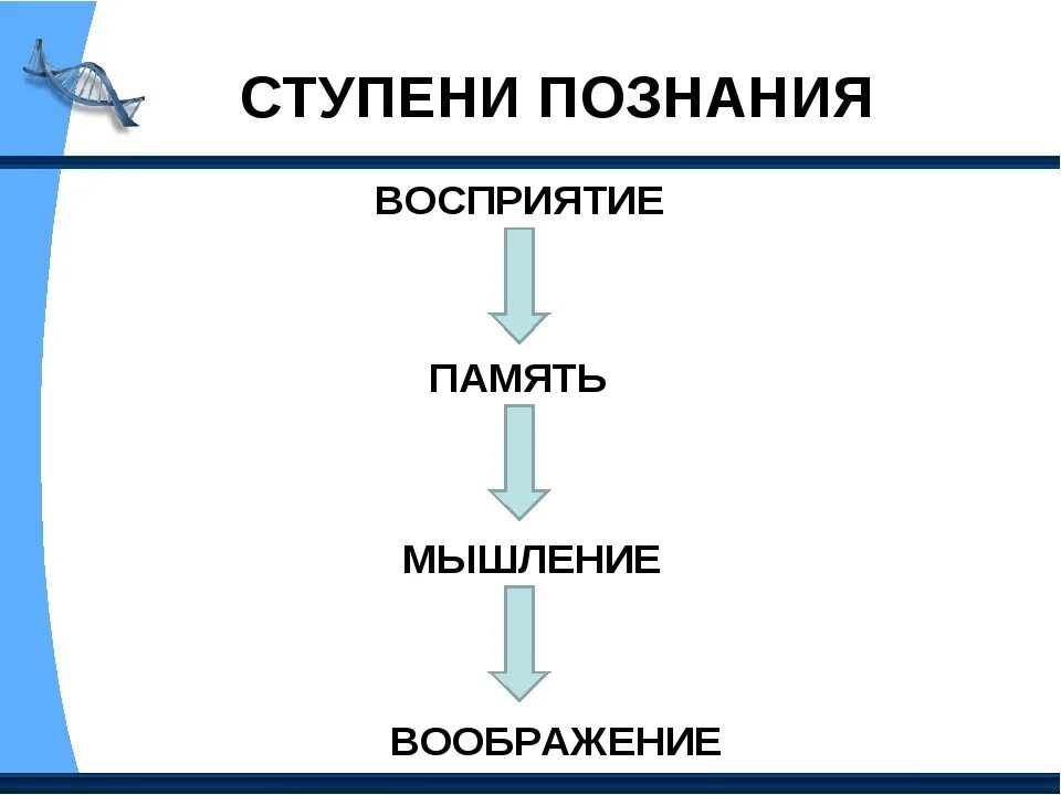 Познание авторы познания. Ступени человеческого познания. Ступени рационального познания. Познание ступени познания.