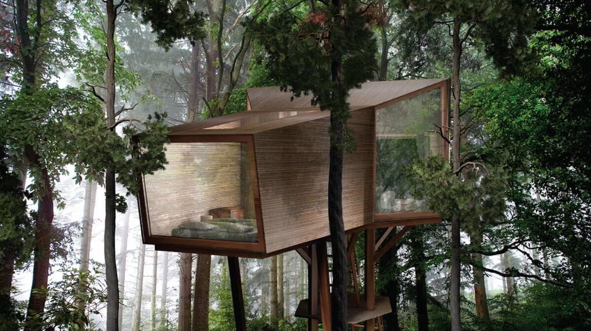 Дом между деревьев. Tree house кишинев. энтони гиббон архитектура. роб де вос дом на дереве. фостер хантингтон дом на дереве.