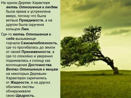 Ветви характера