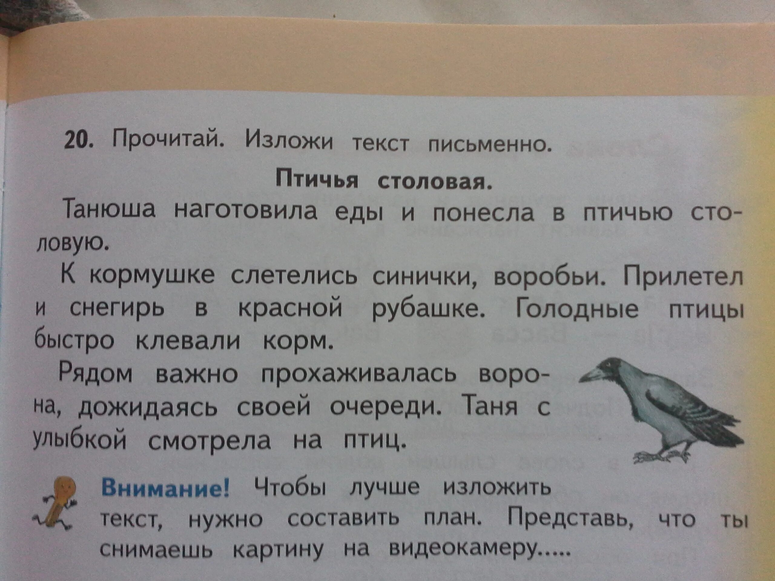 Молодые базар слова. Изложение Птичья столовая. План текста Птичья столовая. Текст Птичья столовая 2 класс. Сочинение Птичья столовая.