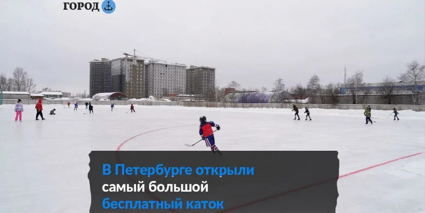 Каток крестовский остров спб. Каток спб 2024. Каток около зенит арены спб. Новая голландия каток. Каток у центрального стадиона волгоград.