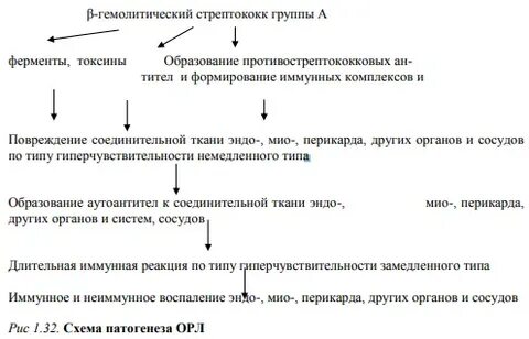 Патогенез острой ревматической лихорадки