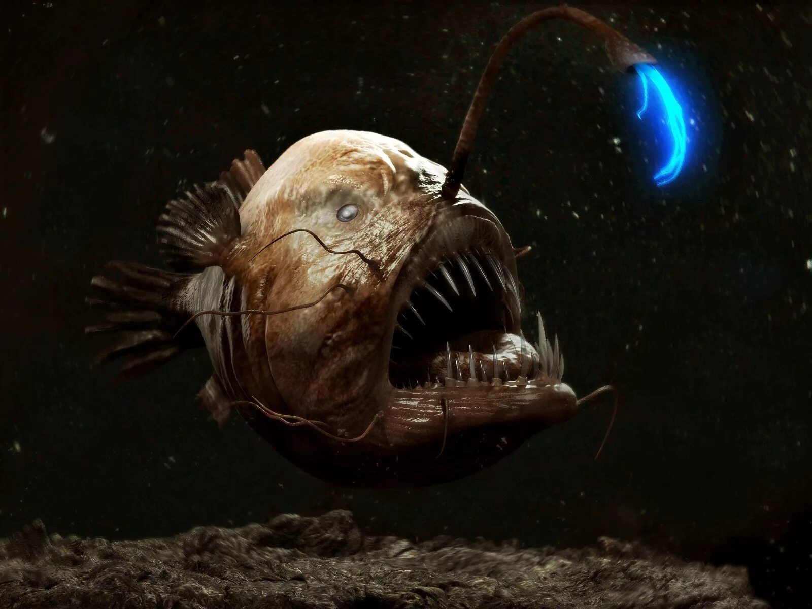 Scary fish