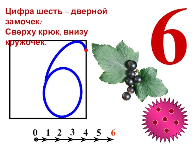 Цифра шесть дверной замочек сверху крюк внизу кружочек. Цифра 6. Цифра 6 дверной замочек сверху крюк. Цифра шесть 6. Цифра 6 слово дремлет