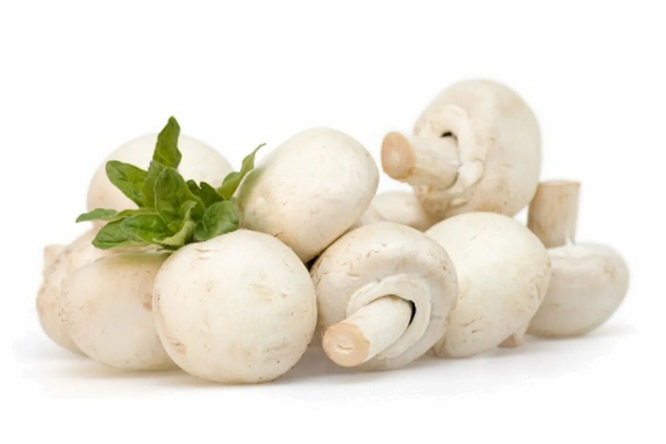 Грибы шампиньоны 250 г. Разница между шампиньоны и портобелло. Грибы шампиньоны 250 гр. Гр шампиньоны. Грибы еда.