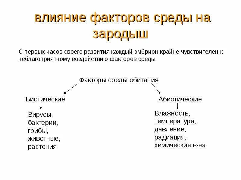 Факторы влияющие на строение. Влияние факторов среды на зародыш. влияние факторов среды на эмбрион. факторы влияющие на эмбриональное развитие. факторы среды влияющие на развитие зародыша.