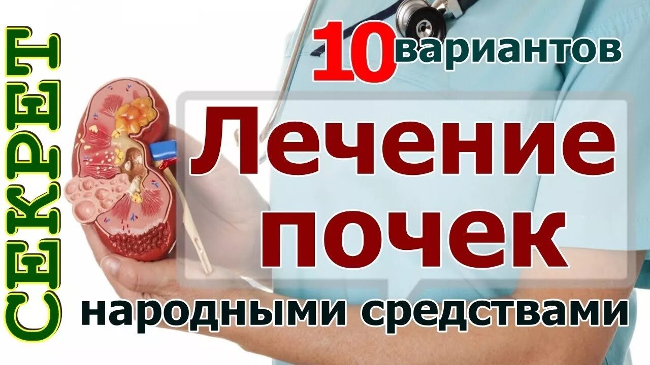 От чего болят почки у женщин. Чем лечить почки. Народные средства для почек. Почки болят народные средства.