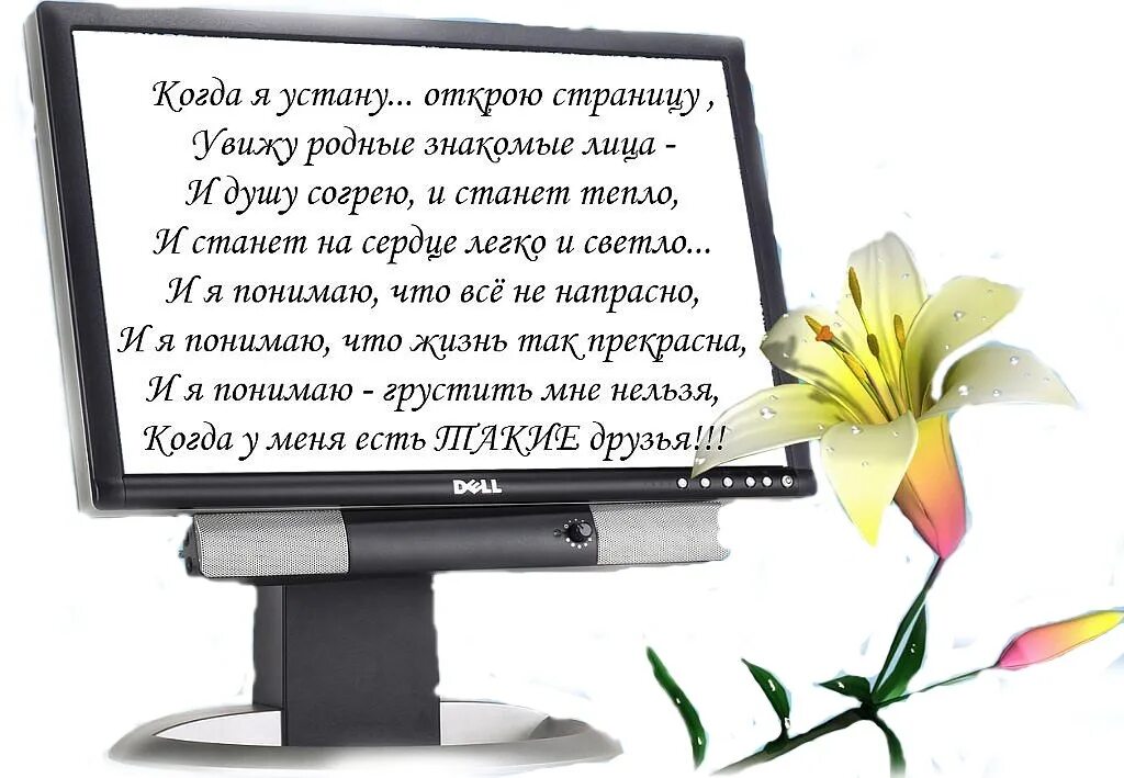 Текст поздравления однокласснице. Стихи про одноклассников. Стихи посвященные одноклассникам. Одноклассники стихи красивые. Красивые слова одноклассникам.