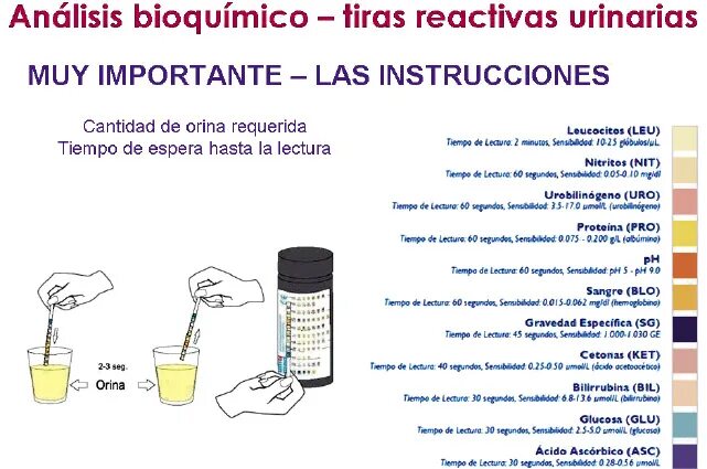 Proteinuria mechanism. @Orina_g. Avant перевод