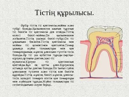БДСМ әже секс құл порно видео