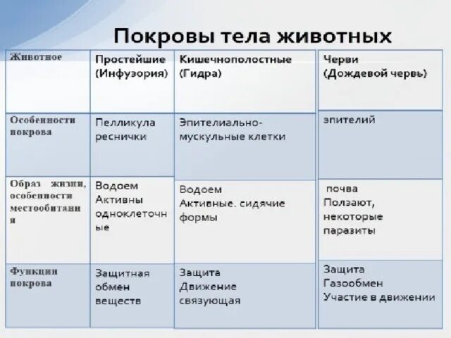 Лабораторная работа изучение половых клеток 10 класс. Лабораторная работа изучение половых клеток 10 класс