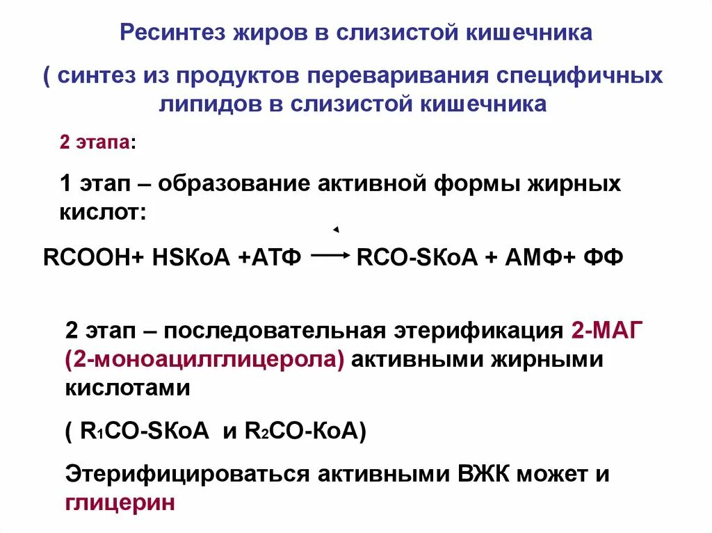 Место синтеза жиров. Ресинтез липидов схема. Ресинтез триацилглицеролов в клетках слизистой кишечника. Схема реакций ресинтеза липидов в клетках кишечника.. Схема ресинтеза липидов биохимия.