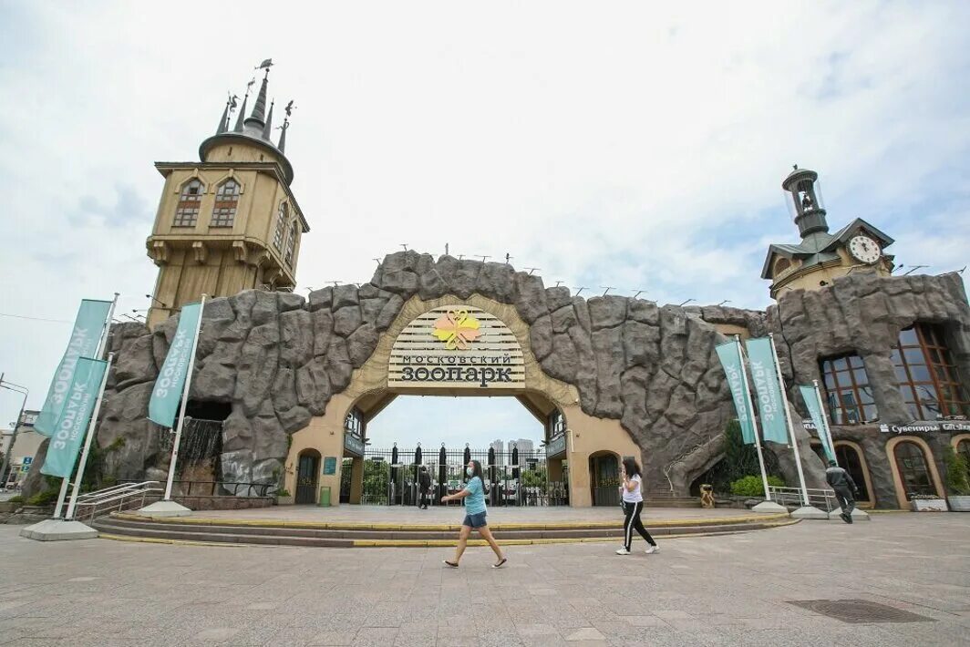В каком году открыт зоопарк. Московский зоопарк 2025. московский зоопарк кассы. московский центральный зоопарк. новый московский зоопарк.