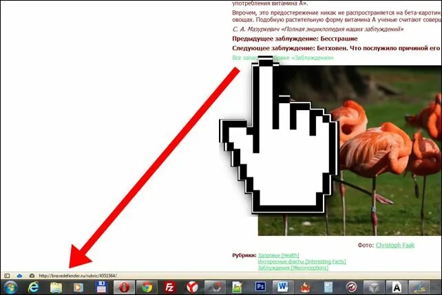 куда ведет ссылка