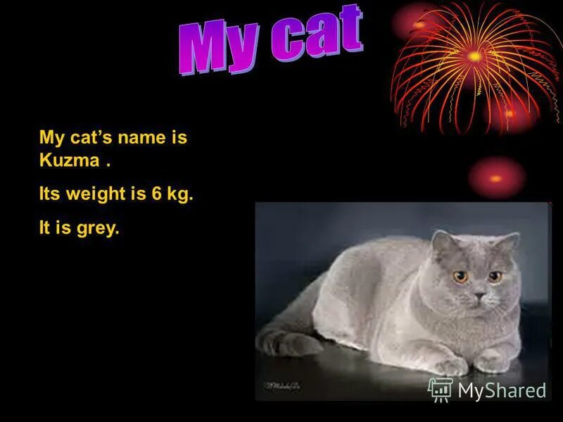 My cat s name is. Текс про кота по английскому. The letter cc i am the cat my name is hat. Рассказ о животном на английском языке. Имена для кошек.