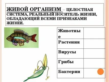 Самый главный признак живых организмов
