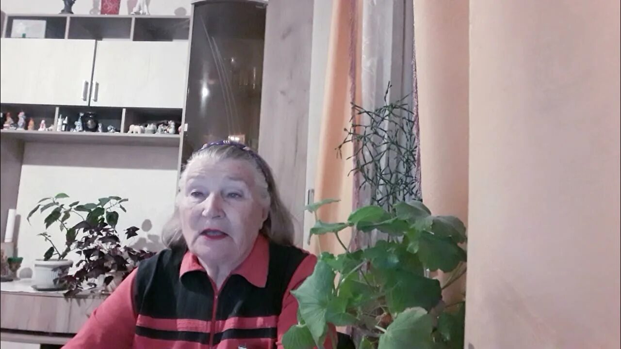 Блог подвал ильича последнее. Подвал ильича. подвал ильича дзен последнее. подвал ильича дзен. подвал ильича дзен видео.
