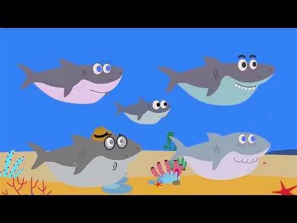 Кукутики акуленок. Акуленок картинки. Детский сборник песенок акуленок. Детский сборник песенок акуленок. Акуленок танец с движениями для детей.