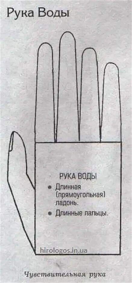 Тип руки воздух. Типы рук в хиромантии. типы ладоней хиромантия. водный тип руки хиромантия.