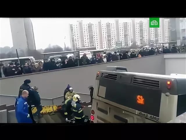 Автобус до славянского бульвара