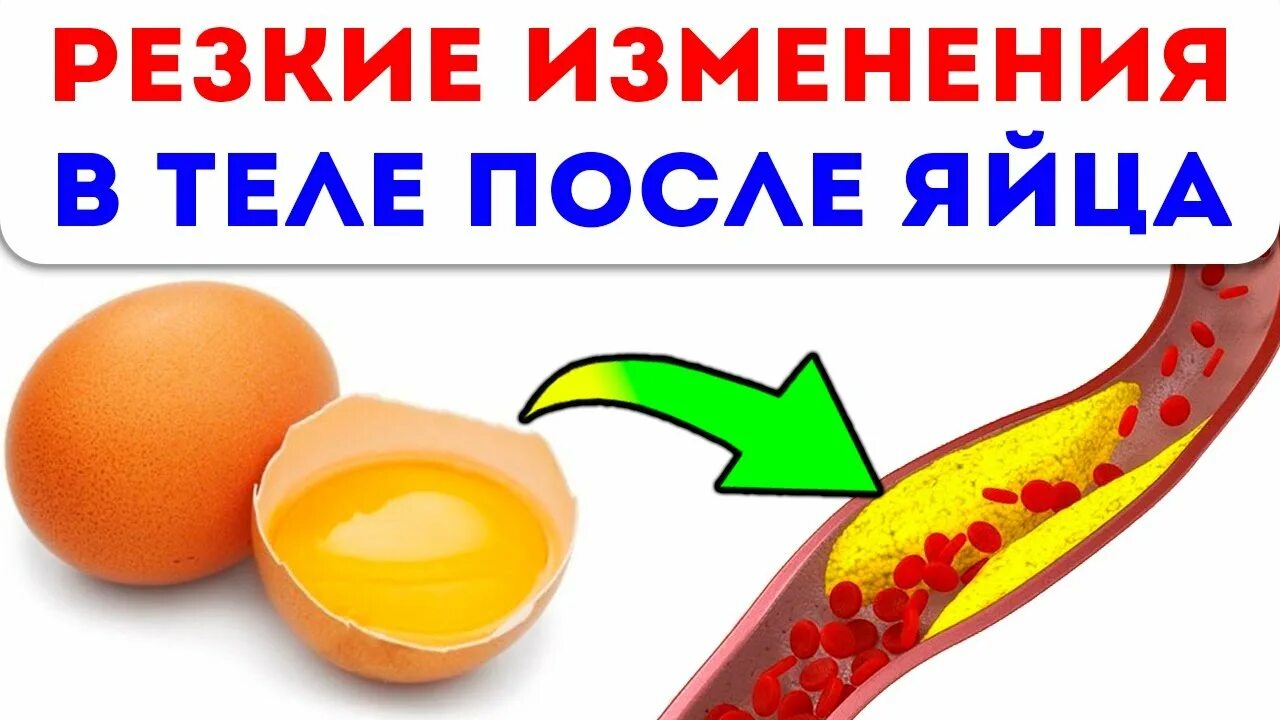 Куриное яйцо натощак. Холестерин в яйце курином. яйца повышают холестерин. сколько яиц можно съесть натощак. холестерин в яйцах научные исследования.