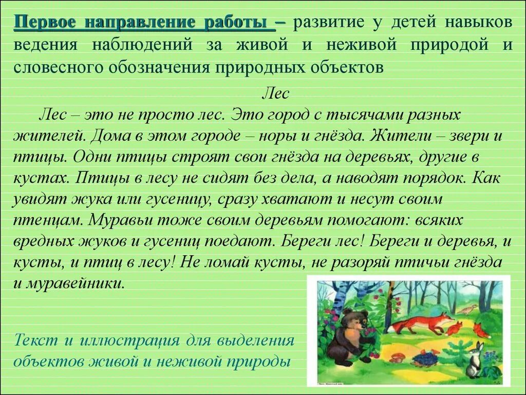 Наблюдение за живыми и неживыми объектами. Наблюдения в живой природе с детьми. Наблюдение за объектами живой природы. Наблюдение в лесу дошкольников. Игра живая цель