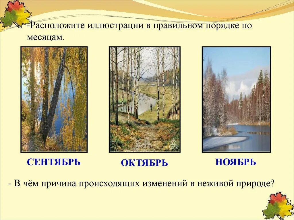 Сезонные изменения в жизни растений таблица. Сезонные изменения в природе. Изменения в природе осенью. Осенние месяцы. Сезонные изменения в неживой природе осенью.