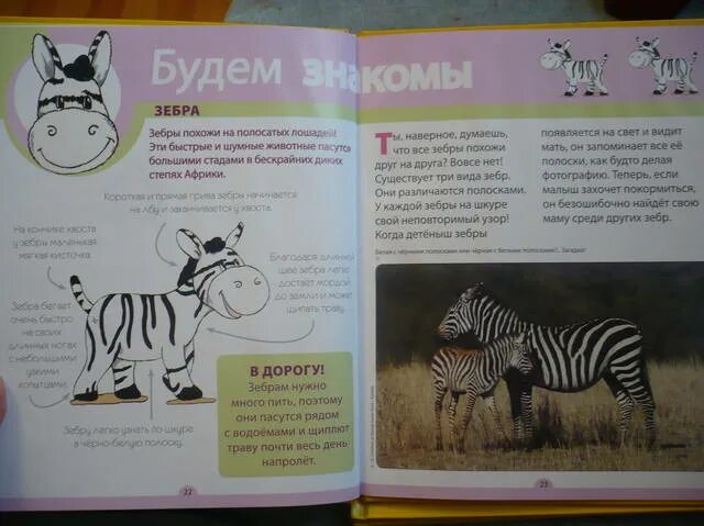 Мамина азбука журнал белгород. Азбука вязания жаккардом. Азбука вязания журнал 2020. Гурина азбука букварь. Азбука дневник.