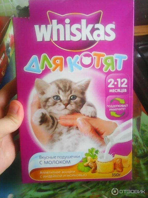 Какой корм давать котенку. Корм для котят. вискас для котят котенок. сухой корм для котят. вискас сухой корм для кошек.