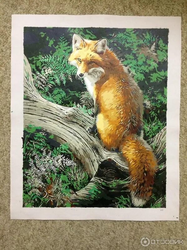 Fox по номеру. Картина по номерам лиса. Лисица в лесу картина по номерам. Лис в засаде картина по номерам. Животные арт лиса за деревом.