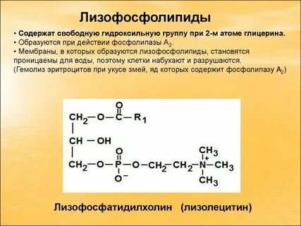 Глицерин содержит группы
